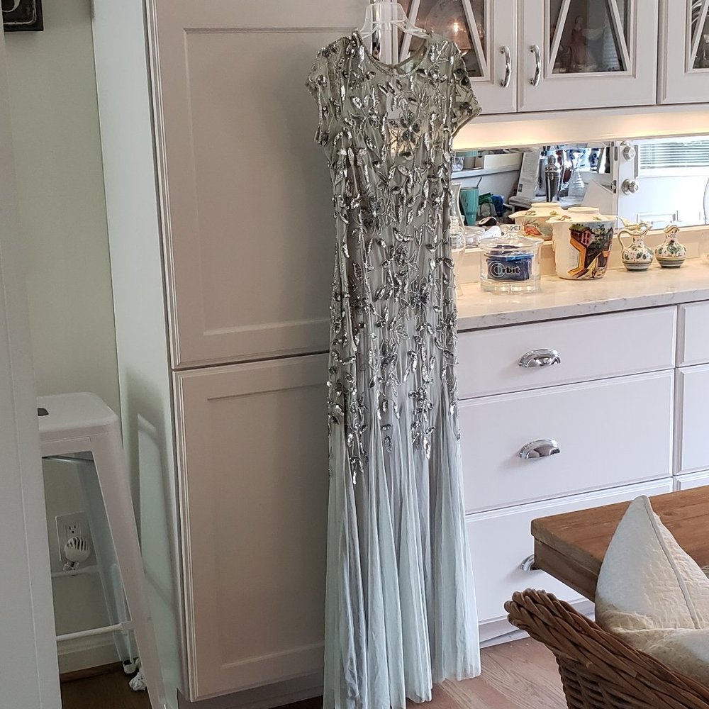 Adrianna Papell designer dress